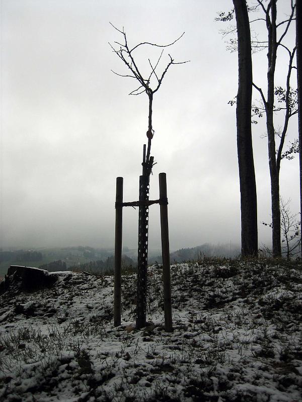 2009 11 10 A
